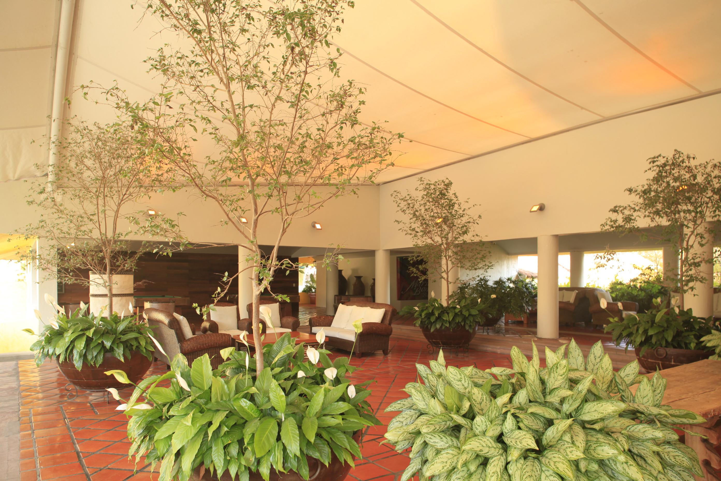 Real De Chapala Hotel Ajijic Buitenkant foto