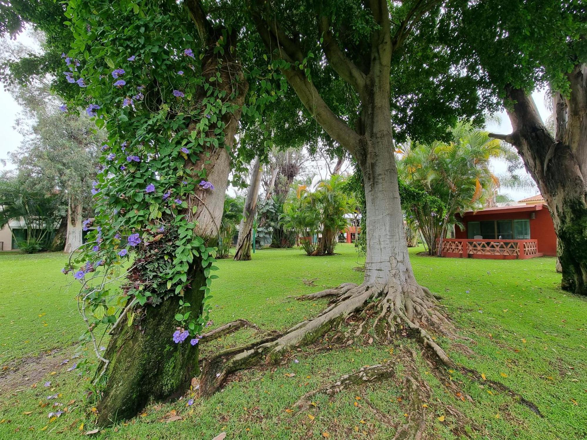 Real De Chapala Hotel Ajijic Buitenkant foto